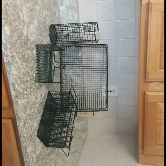 NEW Cookout set - Picture 1 of 1